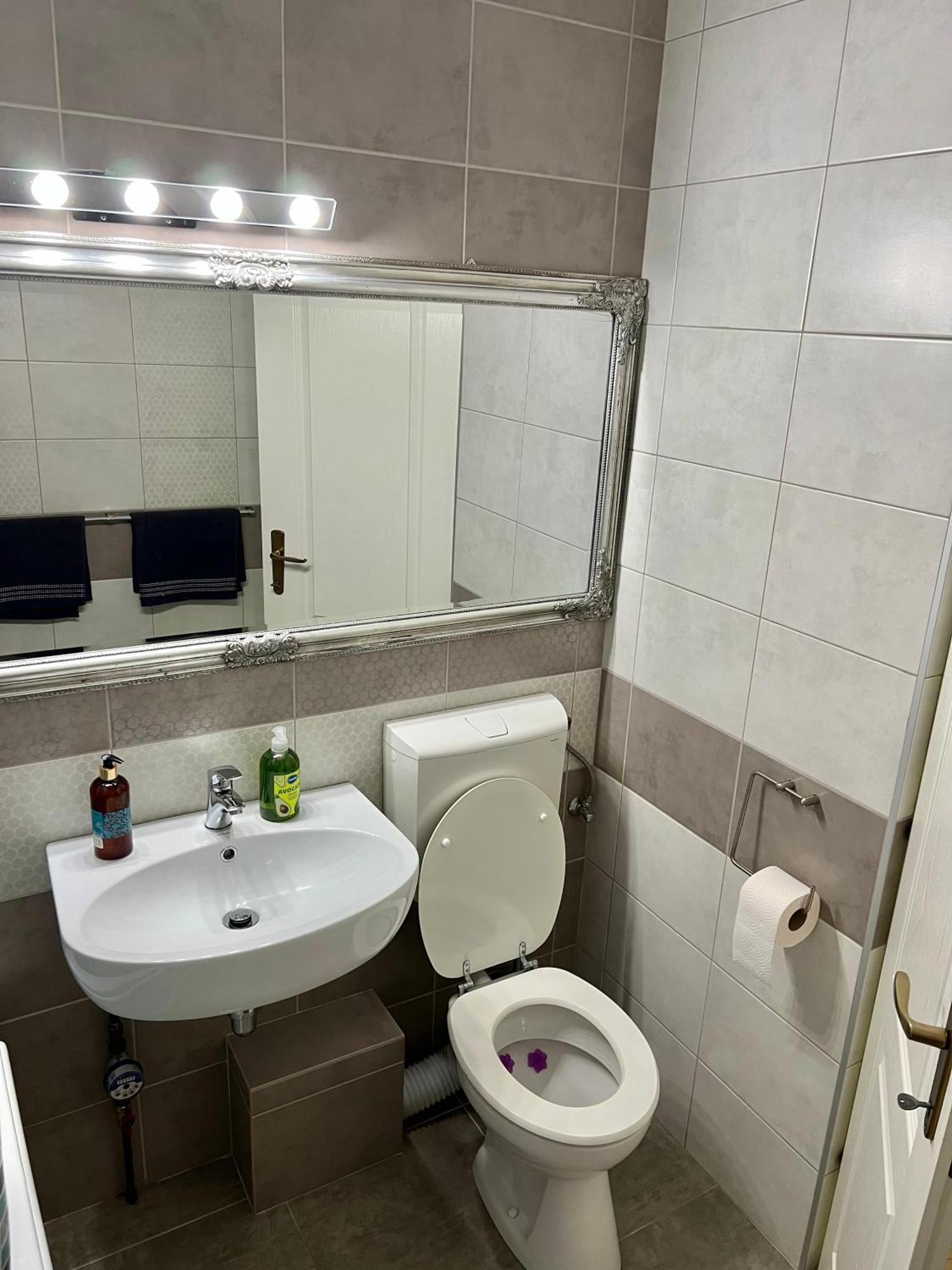 Aparthotel Aurel Vlaicu City Center Cluj-Napoca Ngoại thất bức ảnh