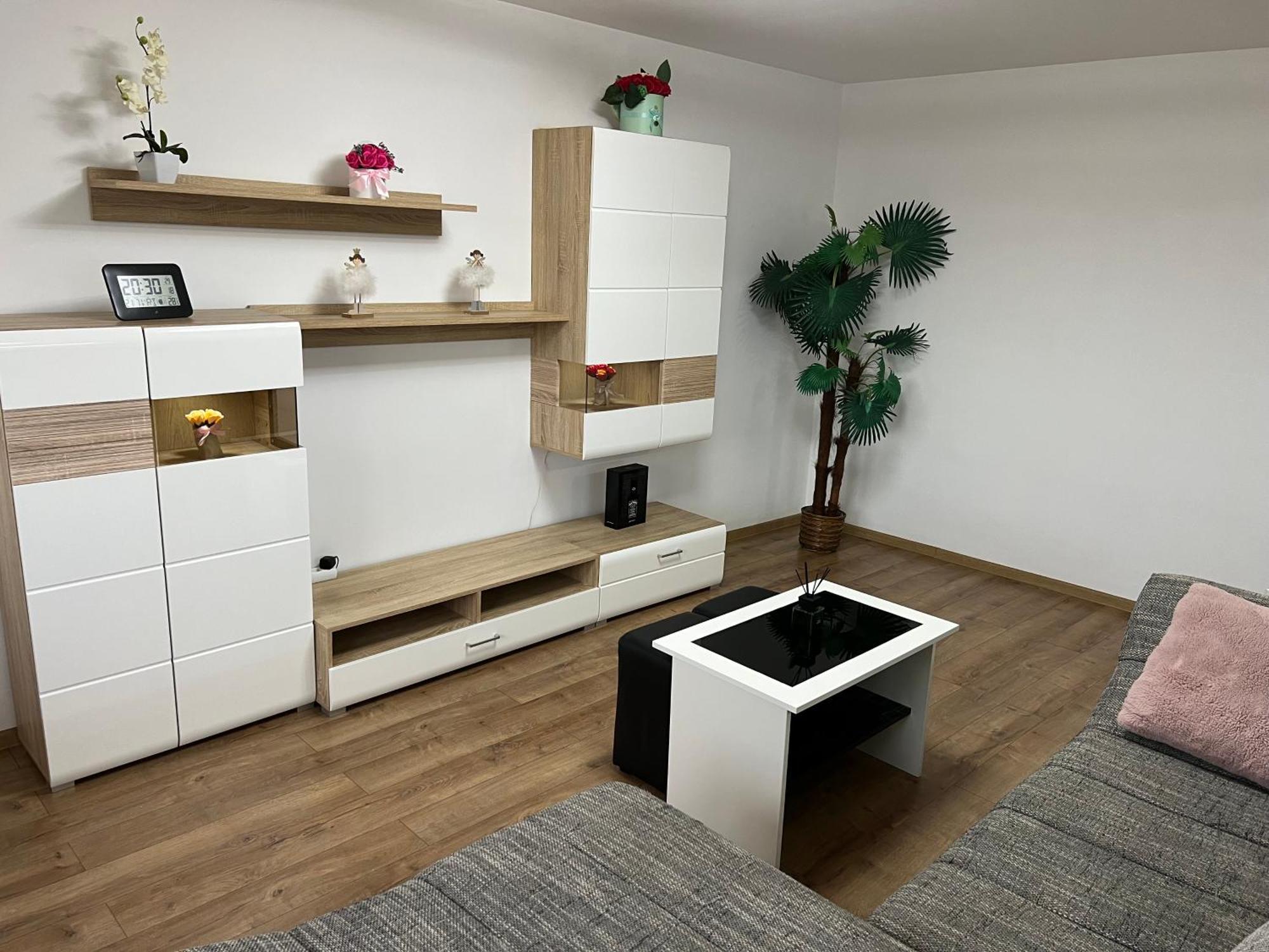 Aparthotel Aurel Vlaicu City Center Cluj-Napoca Ngoại thất bức ảnh